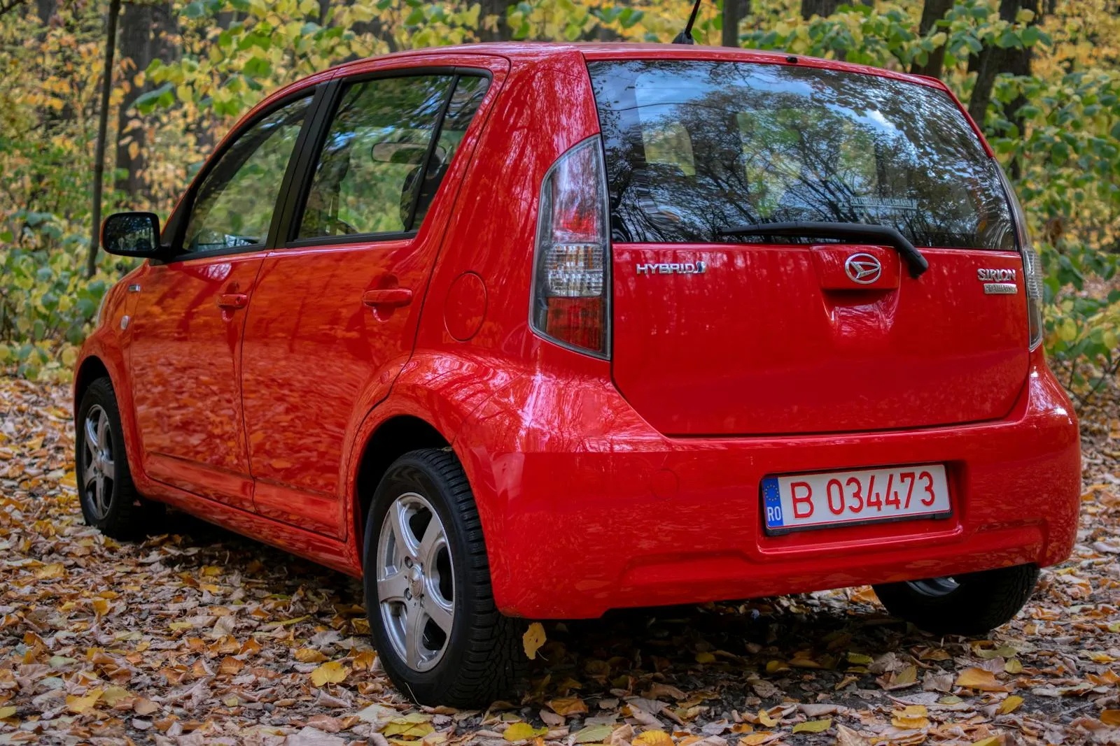 Red Car in the Woods