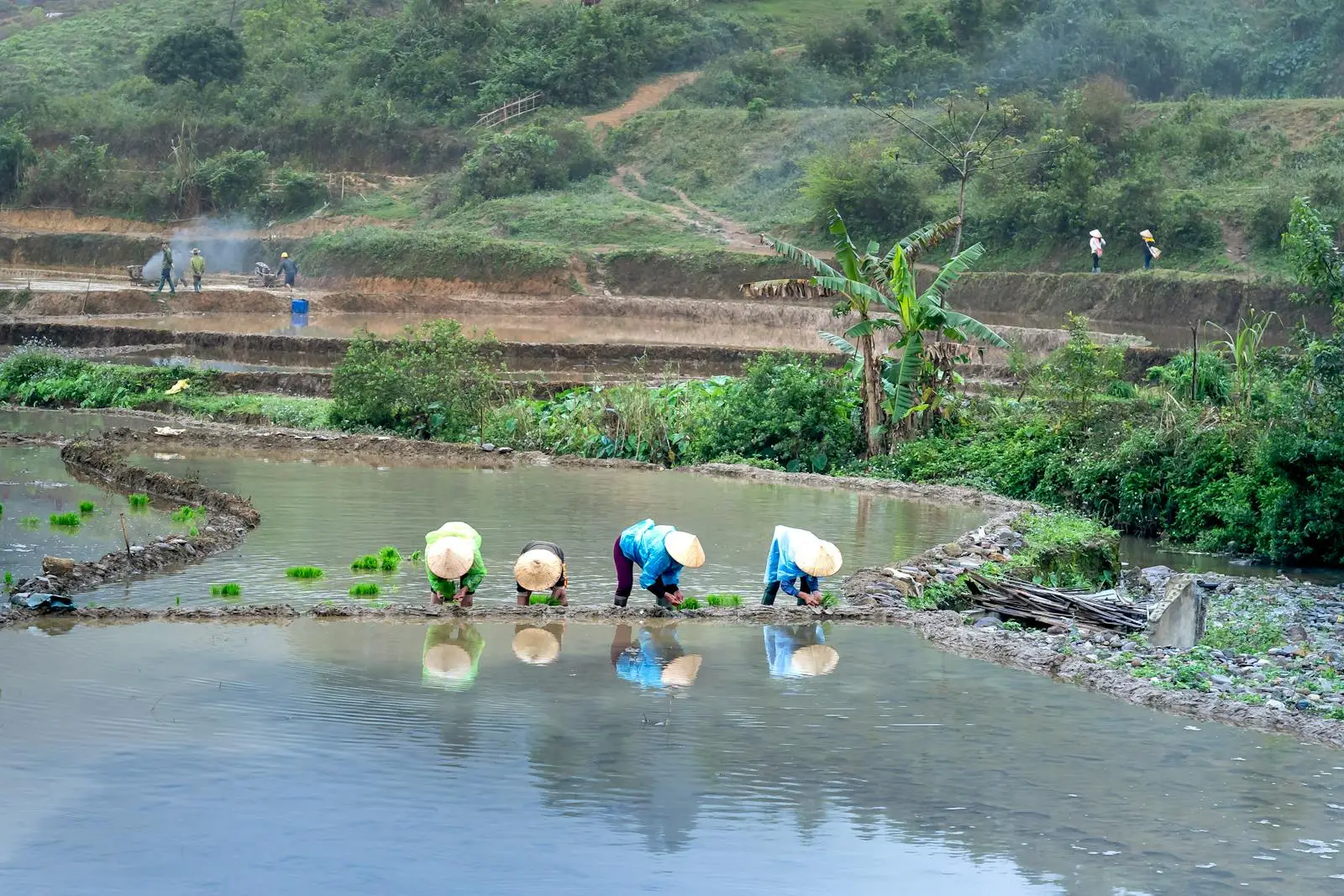 People Planting on Field