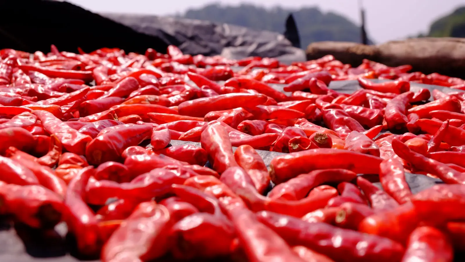 Pile of Red Chilli Pepper