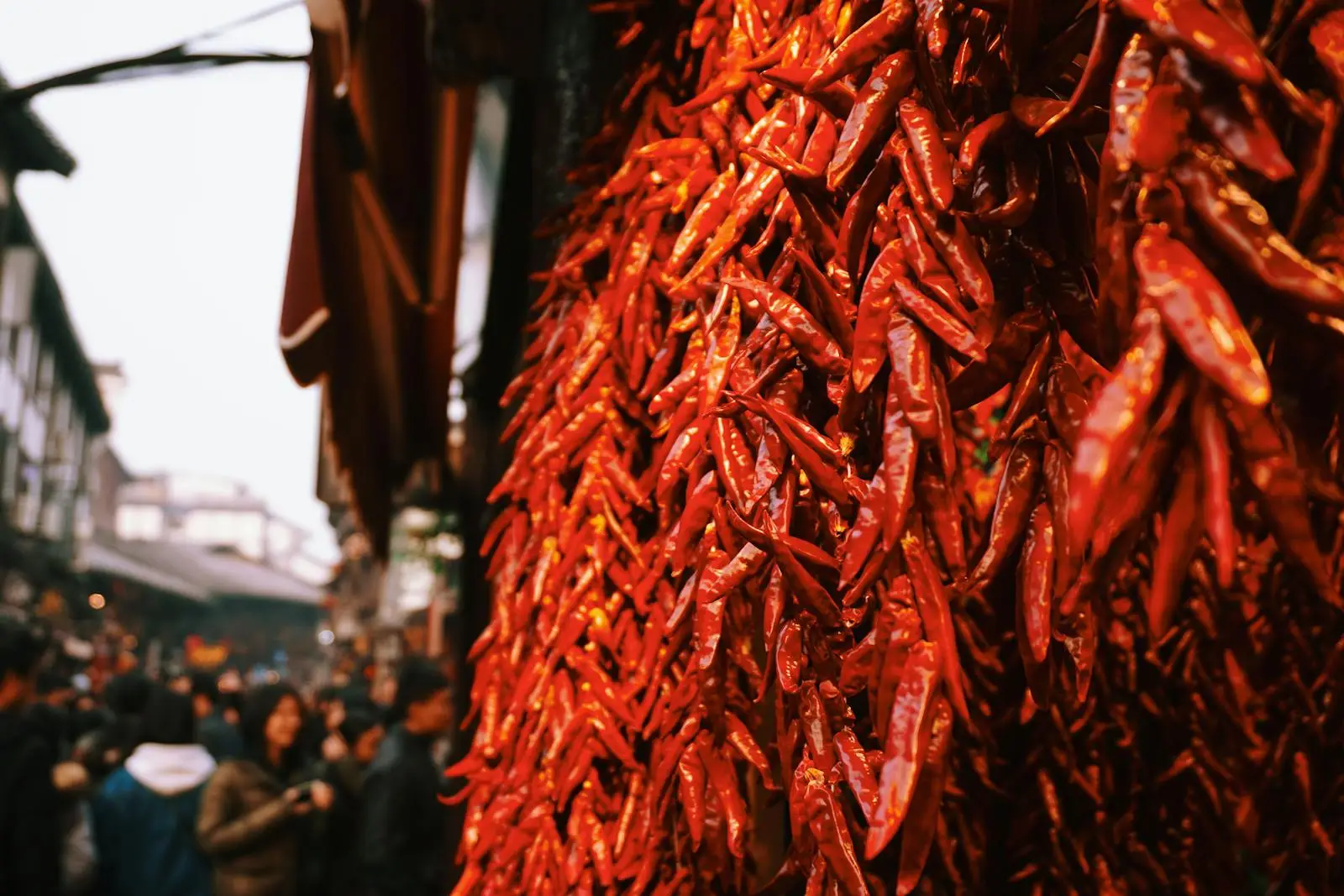 Red Chili Lot Photo