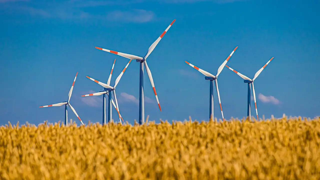 windmill, field, grain